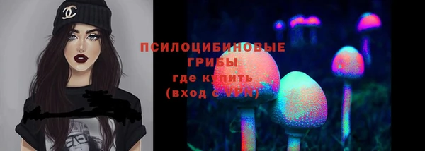 spice Липки