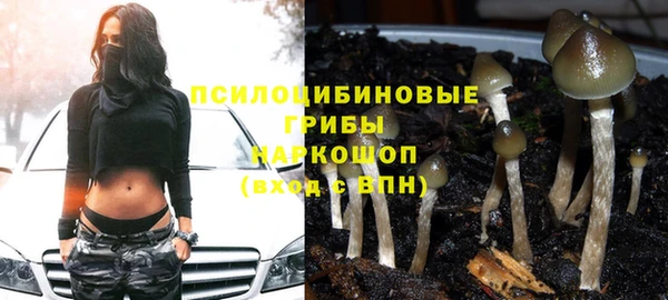 spice Липки