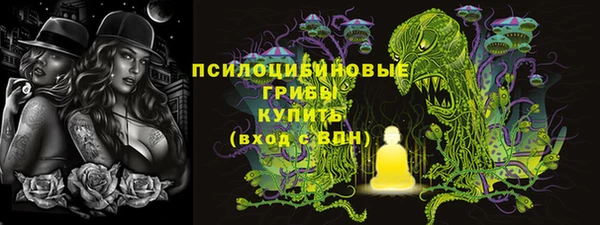 дживик Ладушкин